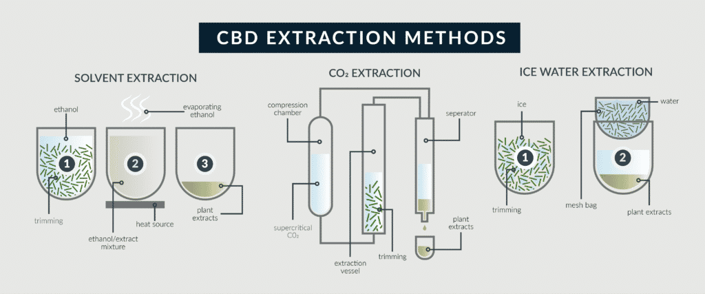 Different methods of cannabidiol extraction