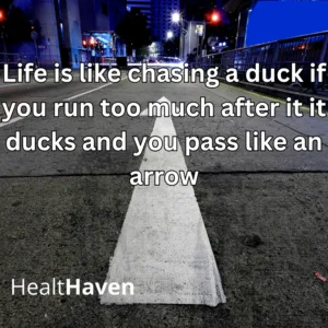 life is like chasing a duck if you run too much after it it ducks and you pass like an arrow